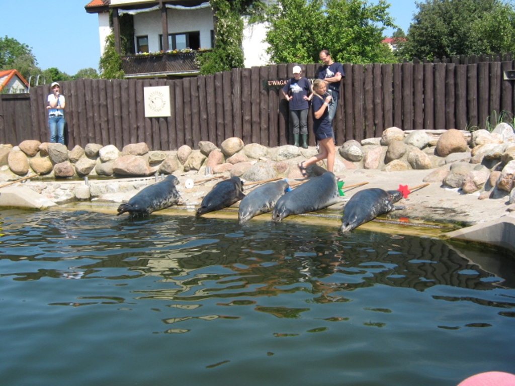 WLA_2009 (37).jpg